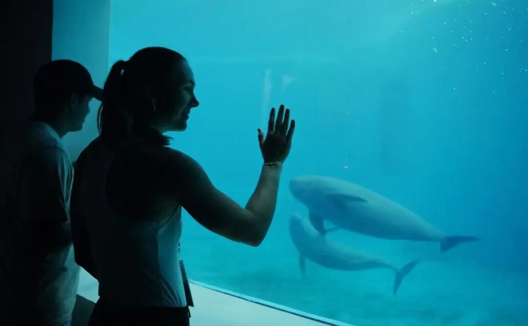 遇見江豚！武網選手為“中國智慧”點贊